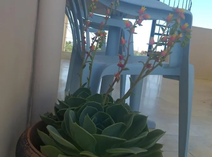 Areti & Maria Daire *