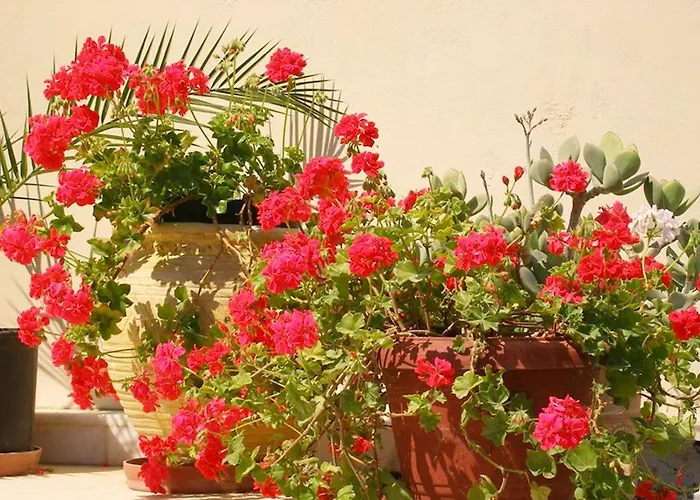 Areti & Maria Apartman Gíthio